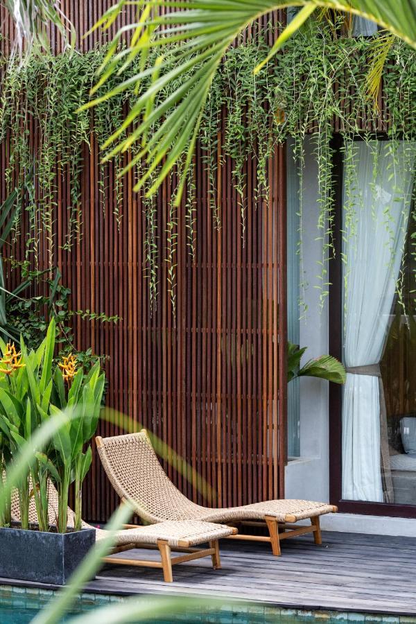 Suite Terrace