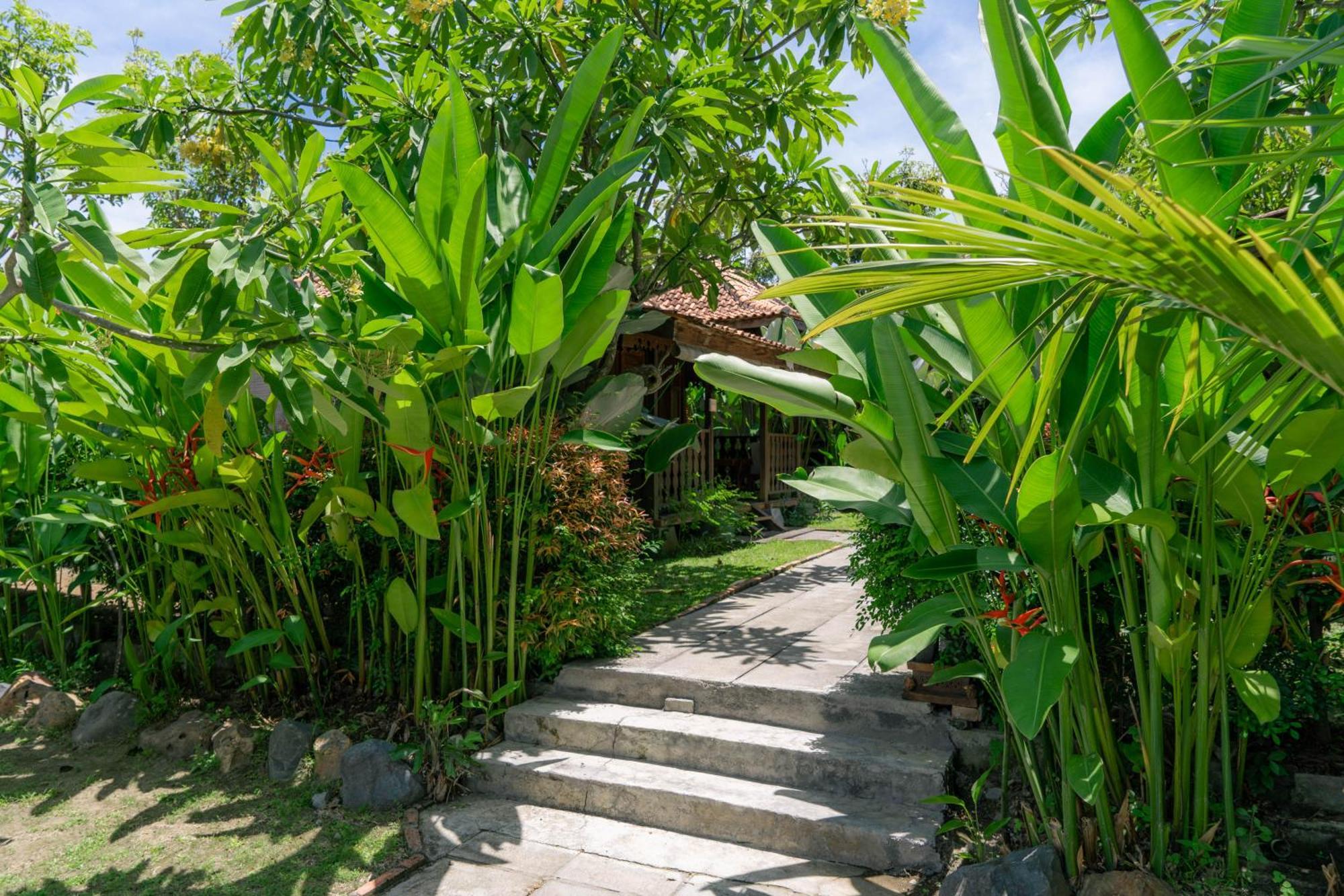 Bungalow Garden View