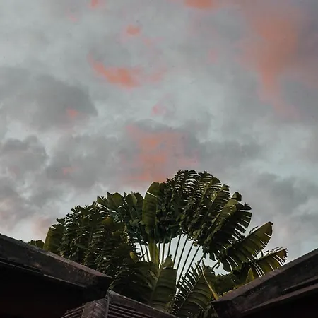 My Villas In Bali-3